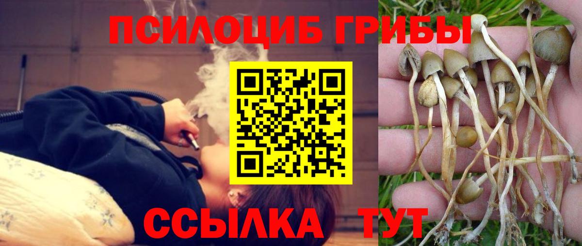 Галлюциногенные грибы Cubensis Когалым